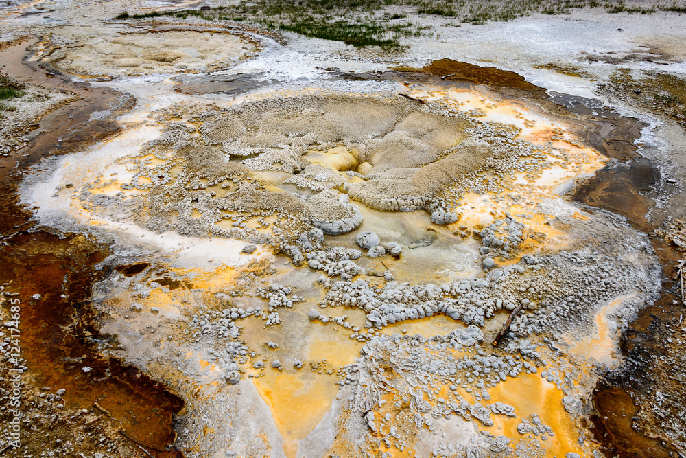 Fototapeta premium Yellowstone National Park
