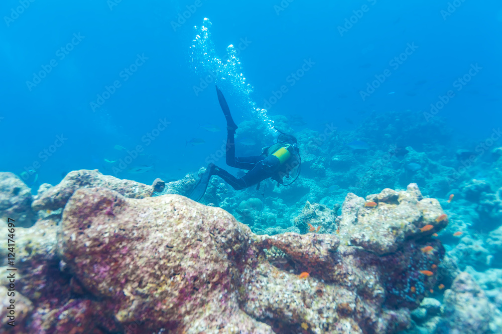 A diver swims above the ocean floor with a reef, Maldives