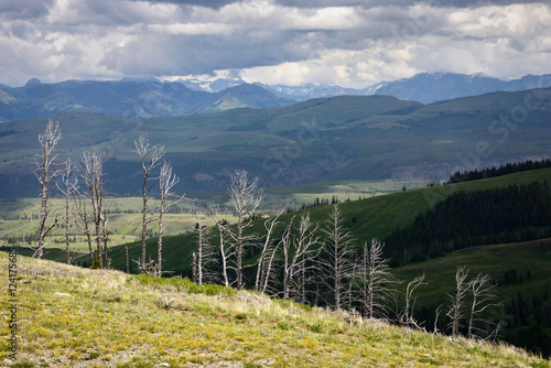Obraz na płótnie Yellowstone National Park