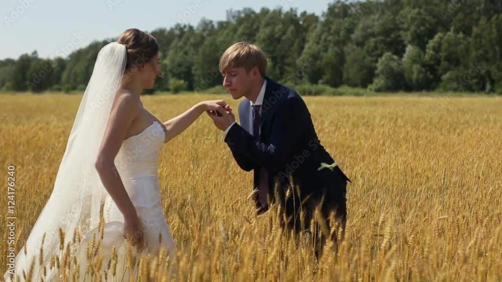 young beautiful wedding couple in a field young beautiful wedding couple in a field