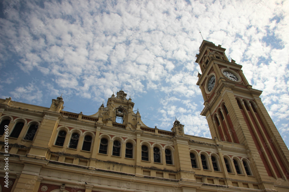 Obraz premium Estação da Luz - SP