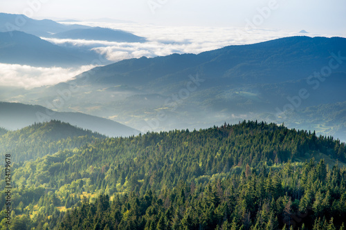 Fototapeta Naklejka Na Ścianę i Meble -  Poranek w Gorcach, Beskidy