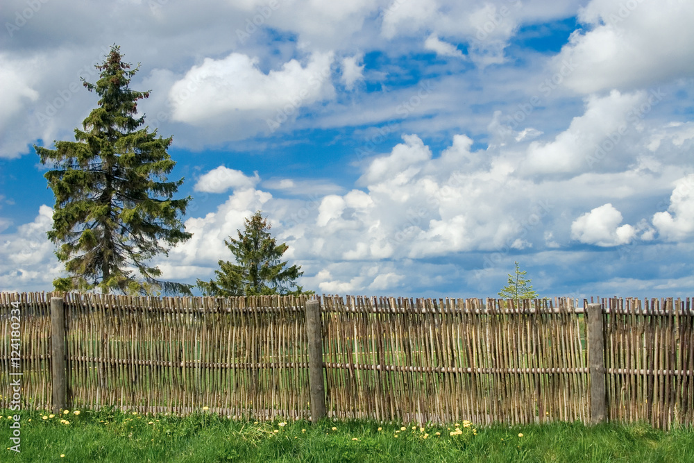 Rural landscape with countryside yard and fence