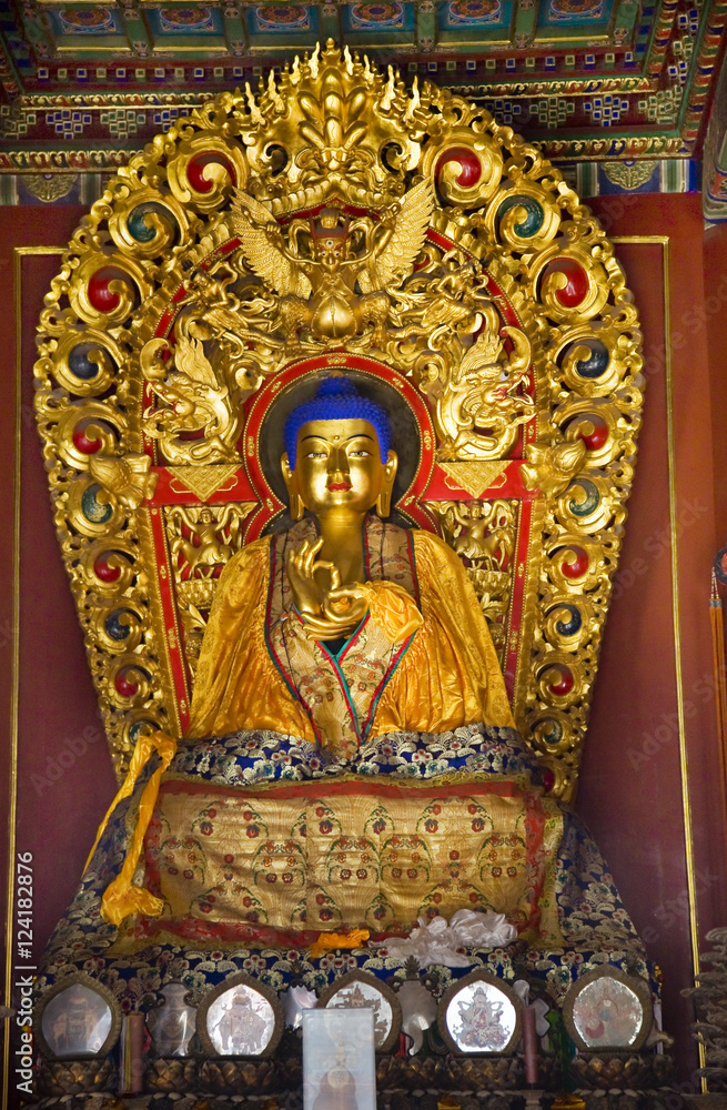 Blue Buddha Hands Details Yonghe Gong Buddhist Temple Beijing Ch