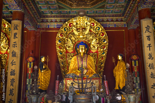 Blue Buddha Altar Details Yonghe Gong Buddhist Temple Beijing Ch