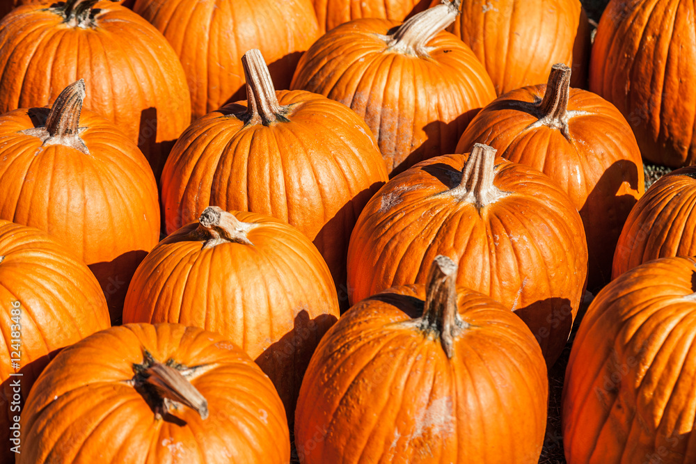 Pumpkins Pumpkins