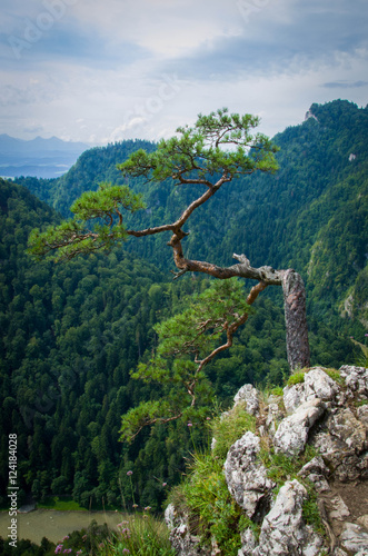 widok na góry latem