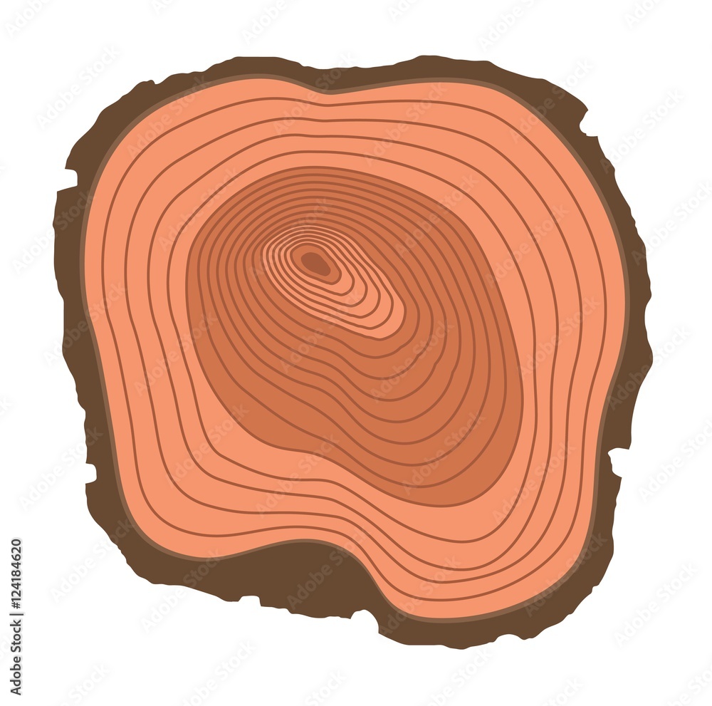 Fototapeta premium Tree slices vector isolated