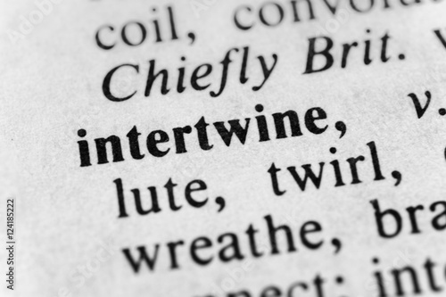 Billede på lærred Intertwine