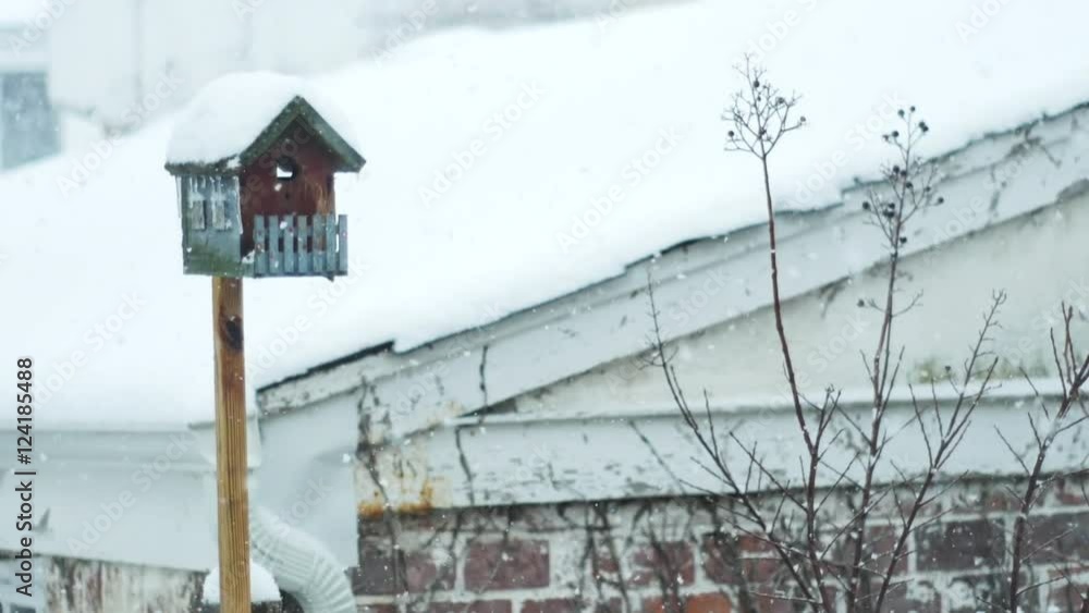 Winter snow storm, bird house winter shot. Winter snow storm, bird house winter shot.