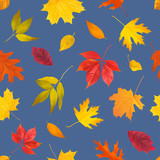 Seamless pattern with autumn leaves. Vector illustration. 