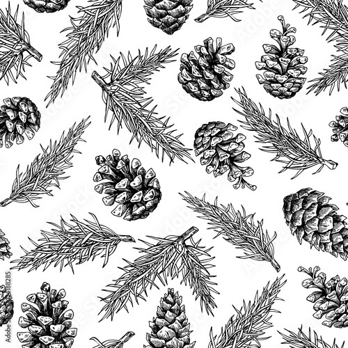 Pine cone and fir tree seamless pattern. Botanical hand drawn ve