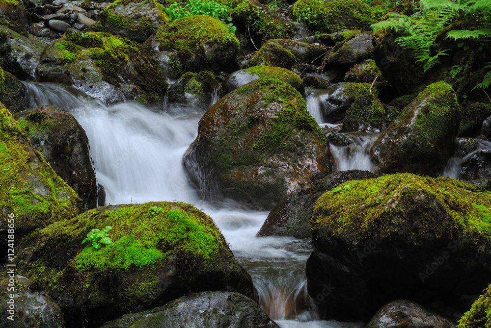 Fototapeta premium stream 2