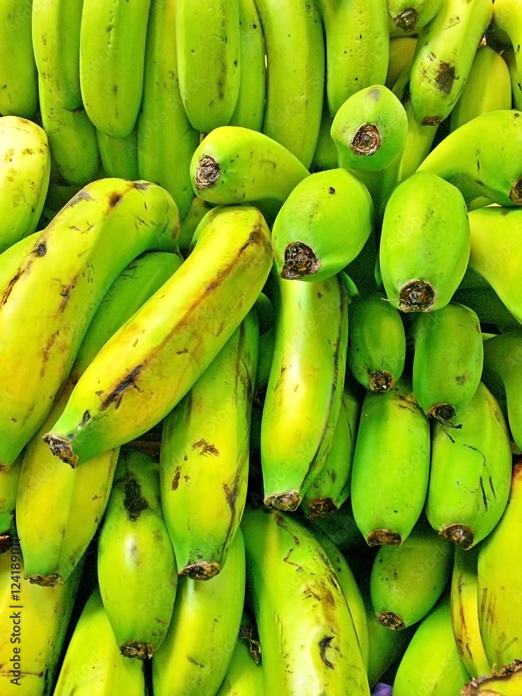 Organic green bananas