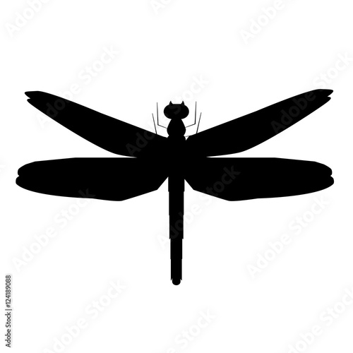 silhouette of dragonfly