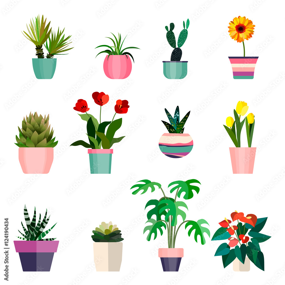 Set of green house plants in pots. Leaf and flowers. Flowerpot isolated objects, houseplant collection. Vector illustration