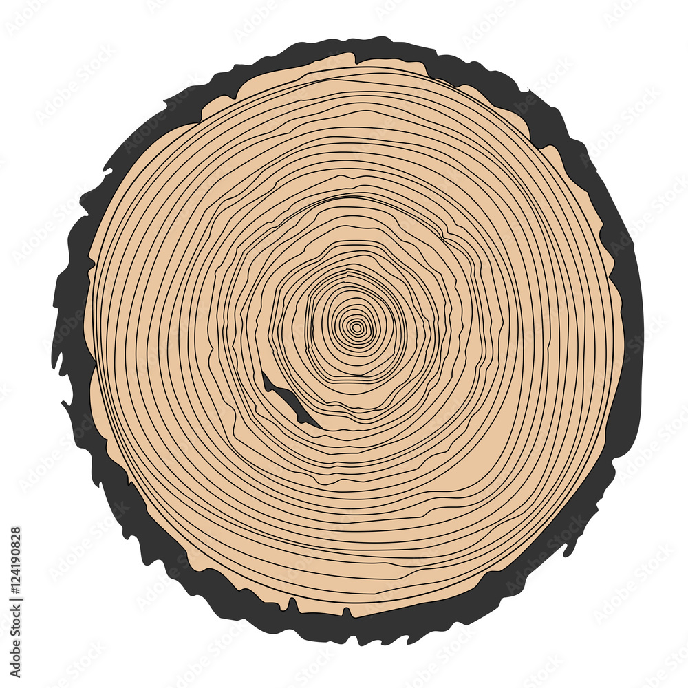 Fototapeta premium Conceptual background with tree-rings. Ring illustration isolated on white