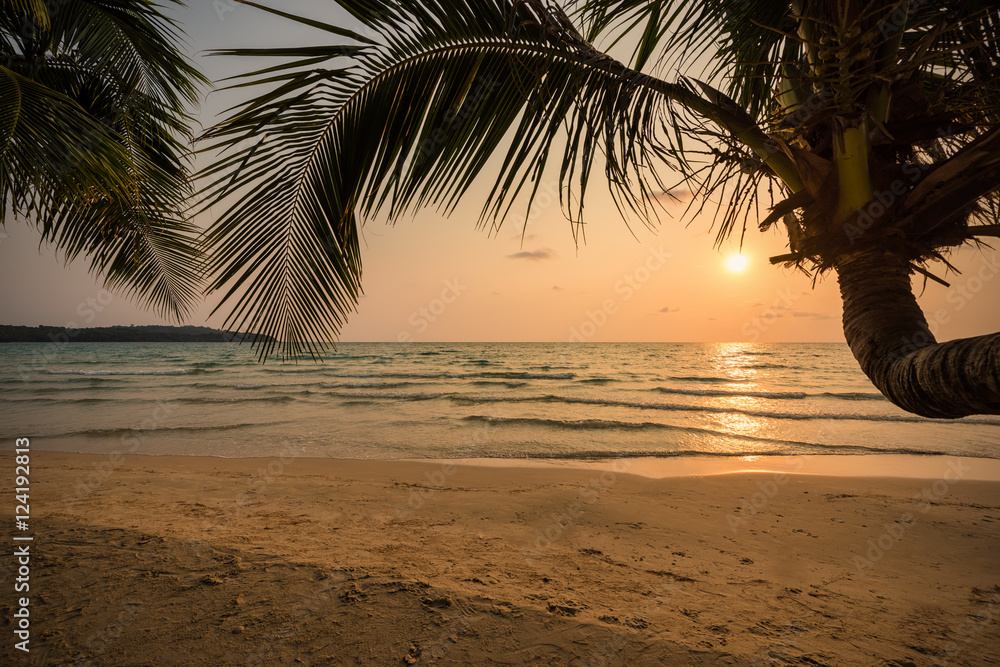 sunset on the beach with coconu trees