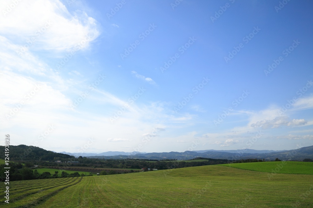 収穫後の牧草地と秋の空 収穫後の牧草地と秋の空