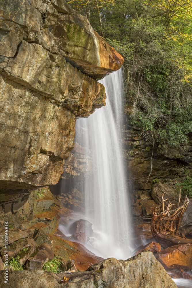 Fototapeta premium Douglas Falls Plunge - Thomas, West Virginia