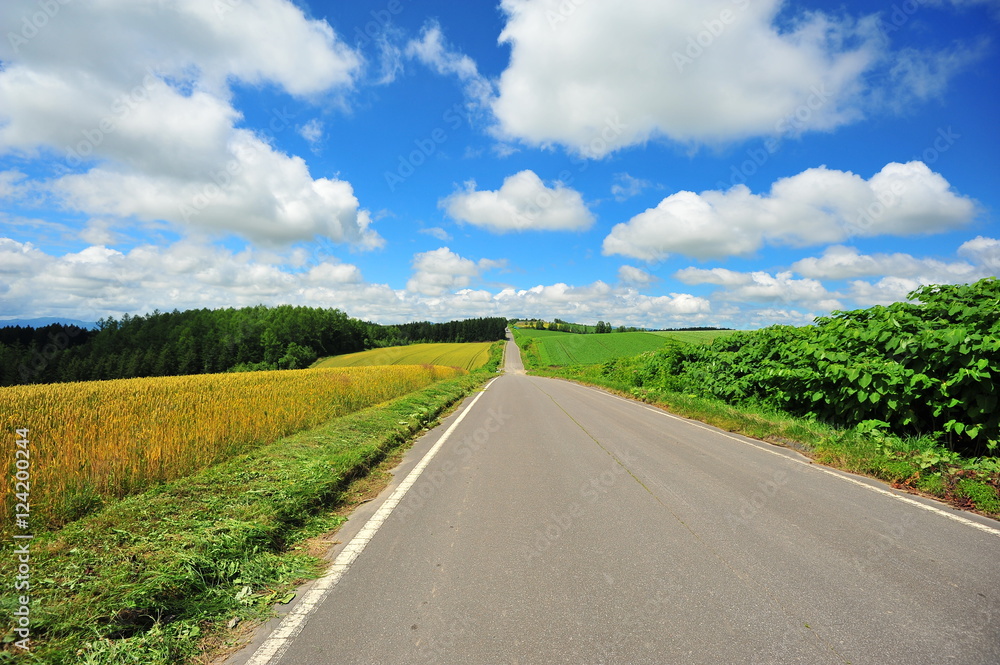 Fototapeta premium Landscape of Cultivated Lands at Countryside