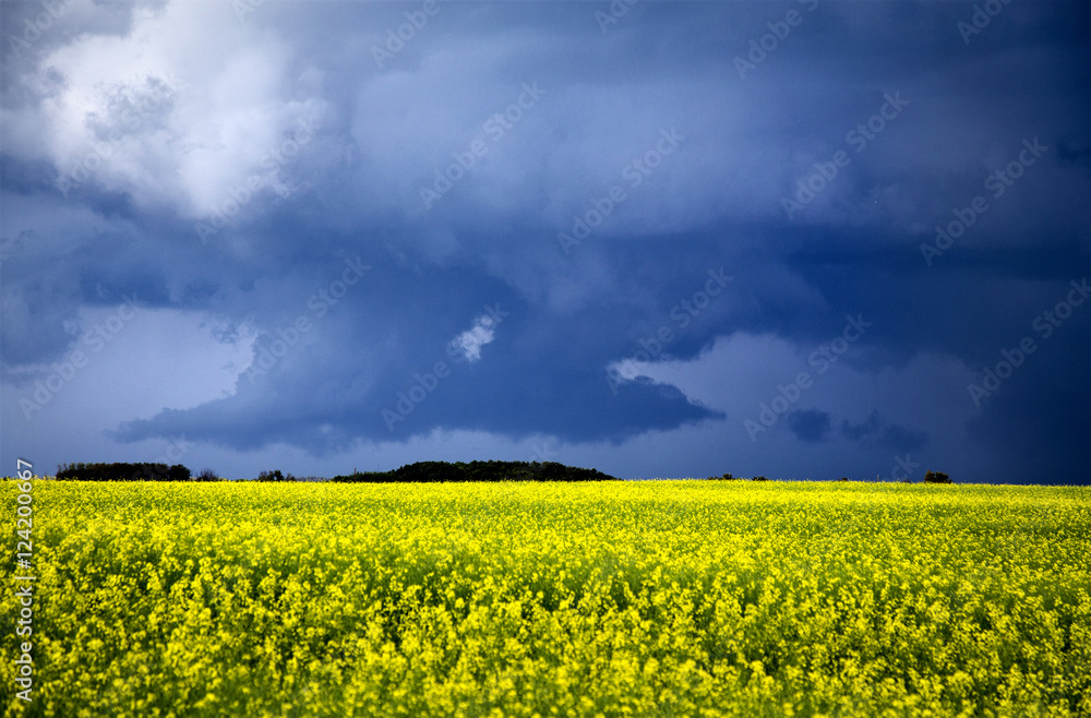 Fototapeta premium Storm Clouds Saskatchewan