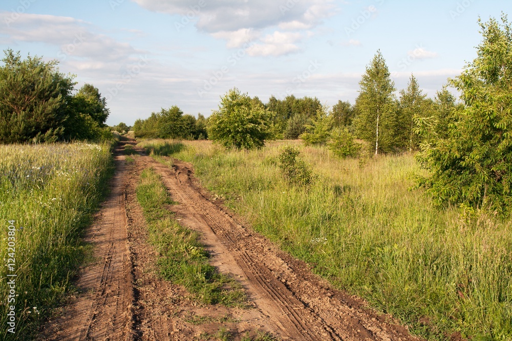 muddy road between meadows muddy road between meadows