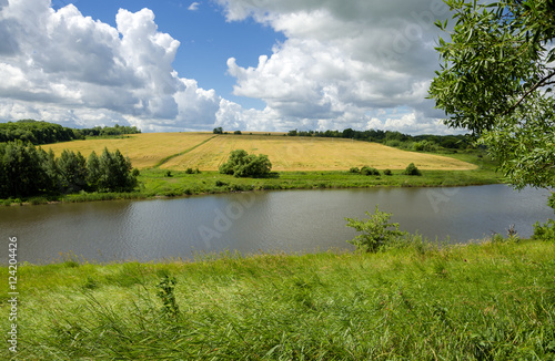 Sunny summer scene with wheat field.River Krasivaya in Tula region Russia.