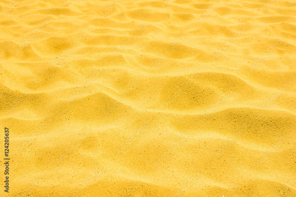 gold sand of a beach in the summer gold sand of a beach in the summer