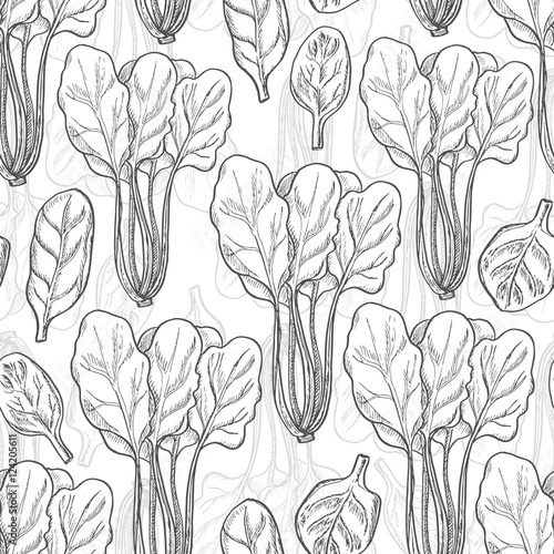 Seamless pattern with spinach