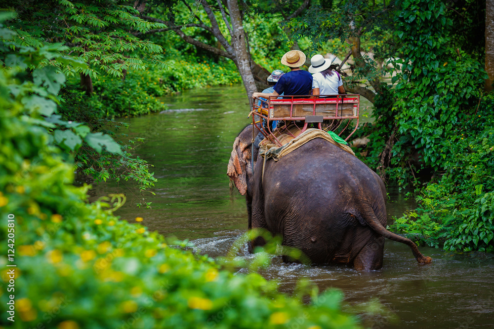 Obraz premium couple tourist riding on elephants