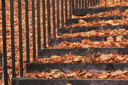 stairs covered with autumn leaves 1