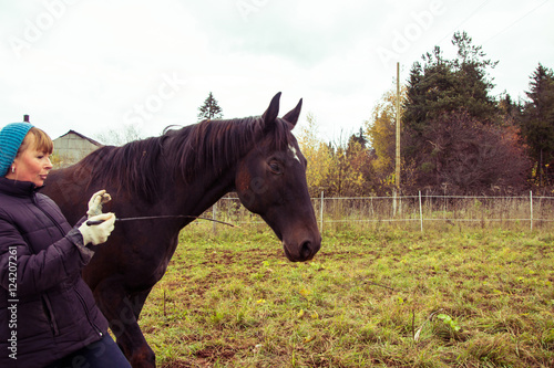 Horse and girl outdoors in an autumn day