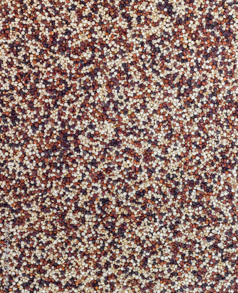 Seeds of uncooked quinoa Seeds of uncooked quinoa