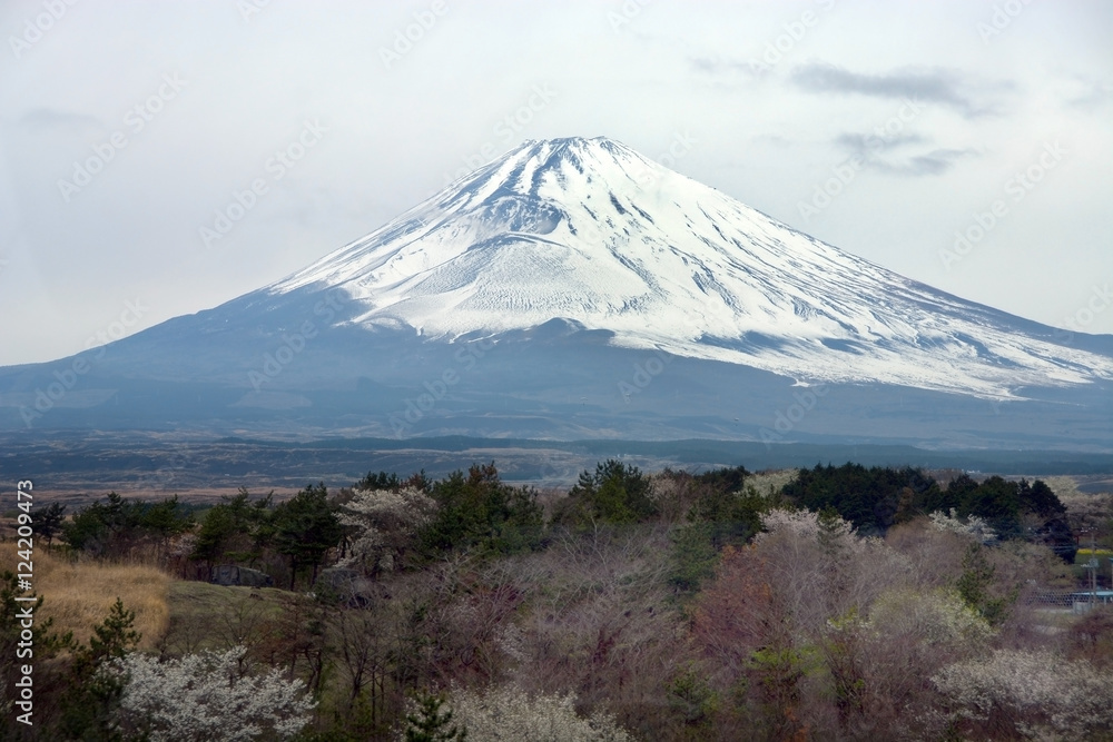 Mountain Fuji in winter close up, natural landscape