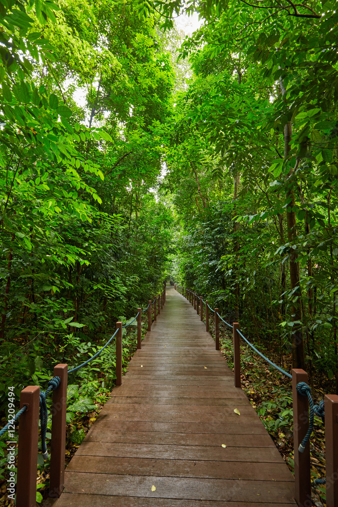 Fototapeta premium Ścieżka spacerowa w parku latem