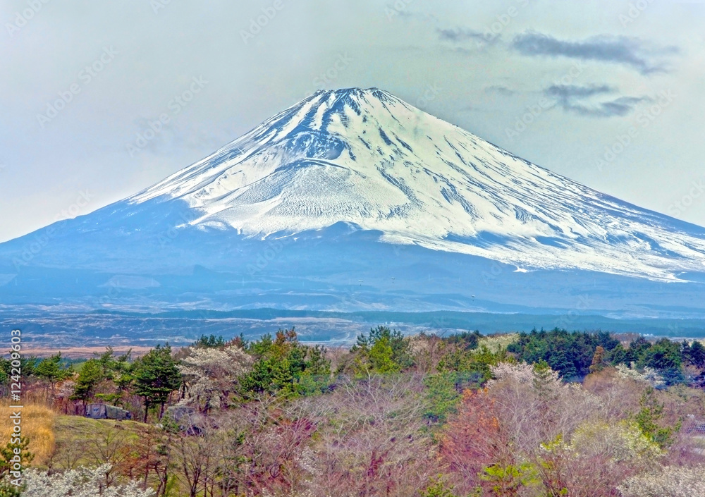Mountain Fuji in winter close up, natural landscape