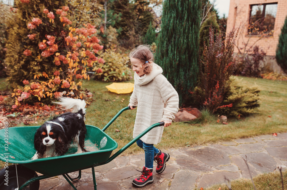 happy funny child girl riding her dog in wheelbarrow in autumn garden ...