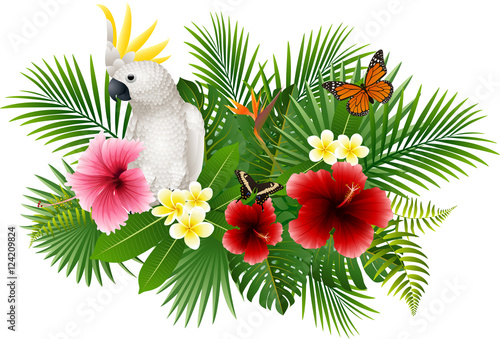 Cartoon white parrot and butterfly with flowers and leaves background

