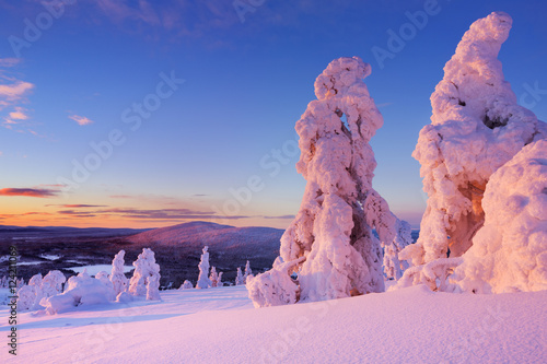 Sunset over frozen trees on a mountain, Levi, Finnish Lapland photo