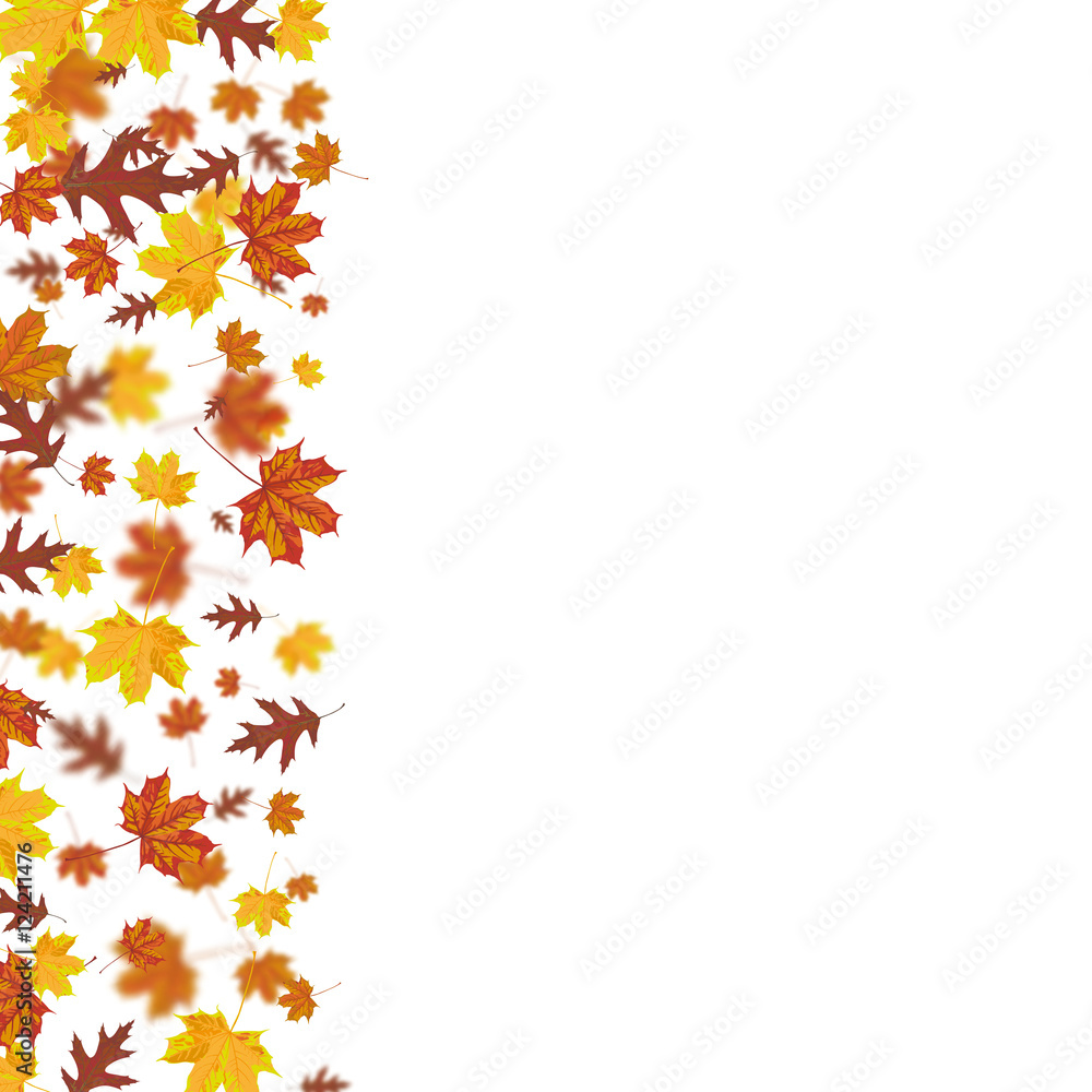Autumn Foliage Fall Side Cover Autumn Foliage Fall Side Cover