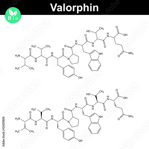 Valorphin biochemical compound, opioid peptide