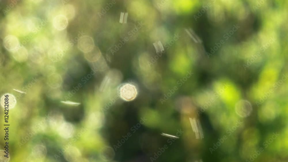 Soft focus of bugs