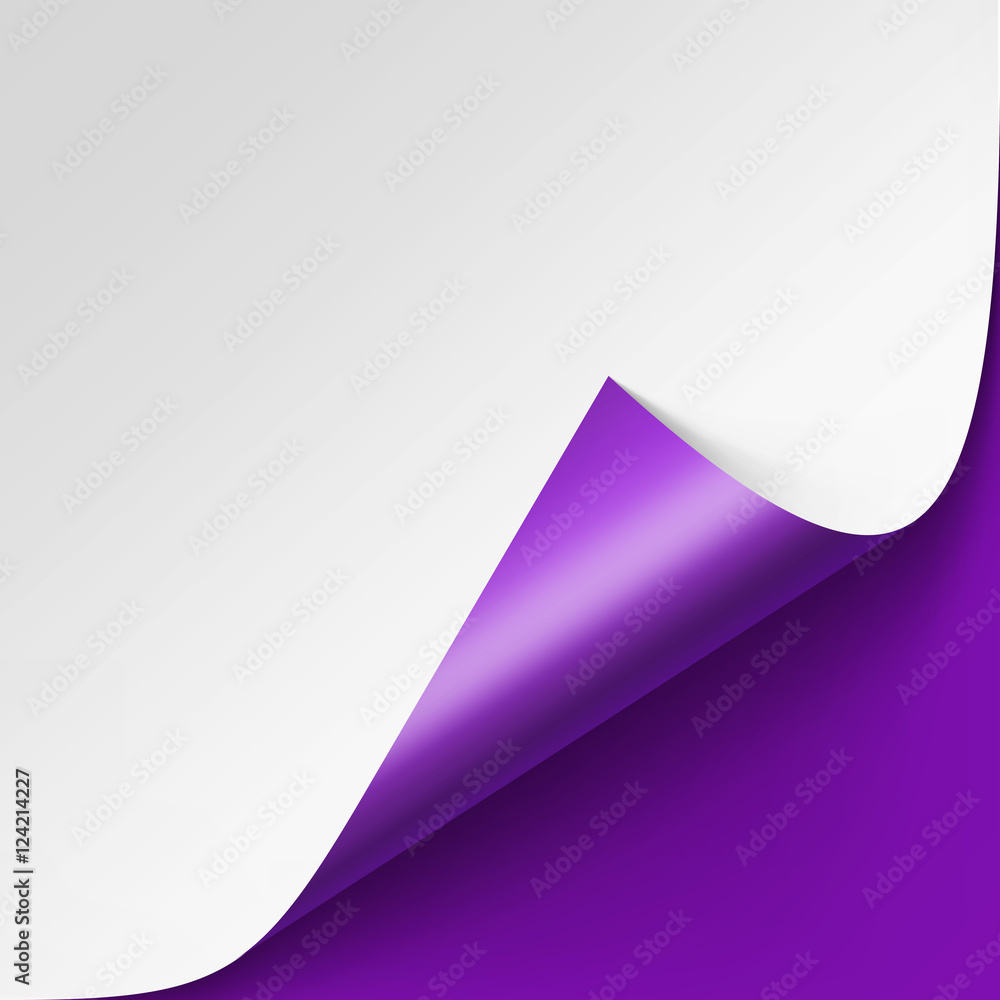 Curled corner of White paper with shadow Mock up Close up Isolated on Violet Purple Lilac Background Curled corner of White paper with shadow Mock up Close up Isolated on Violet Purple Lilac Background