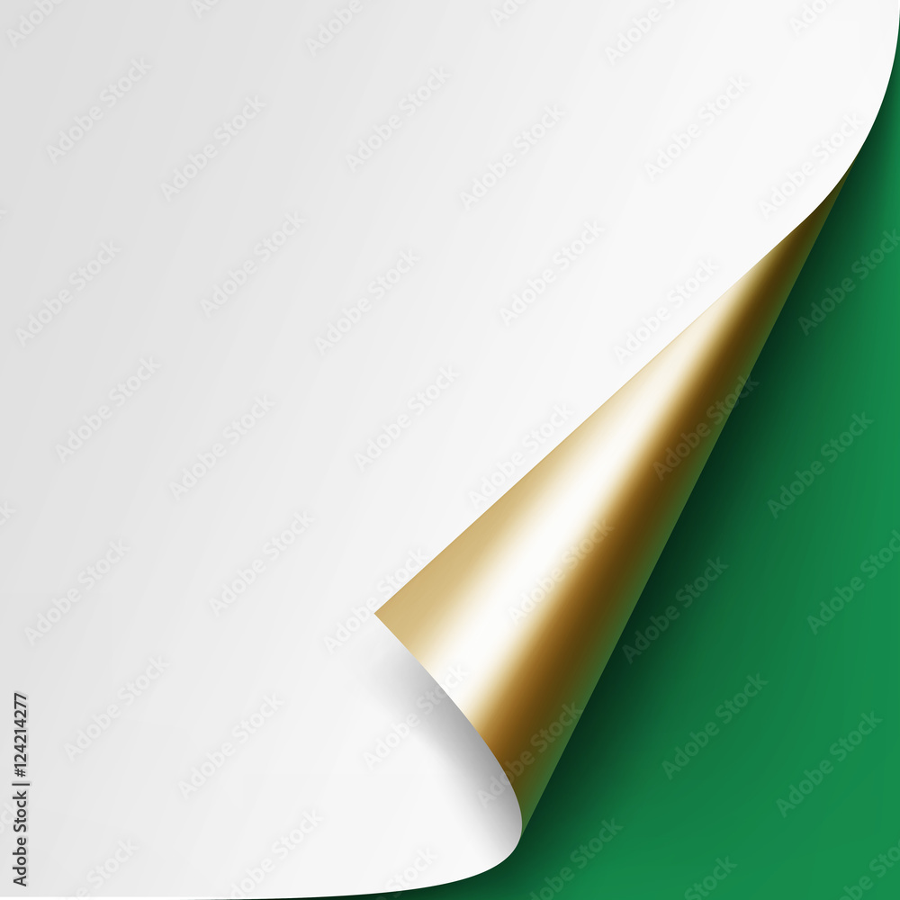 Curled Golden corner of White paper with shadow Mock up Close up Isolated on Green Background
