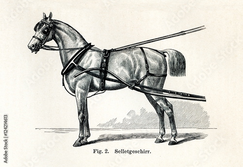Horse harnessing (Selletgeschirr) (from Meyers Lexikon, 1895, 7/432/433) photo