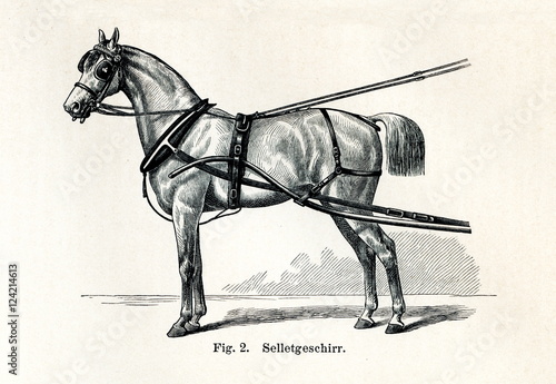 Fototapeta Naklejka Na Ścianę i Meble -  Horse harnessing (Selletgeschirr) (from Meyers Lexikon, 1895, 7/432/433)