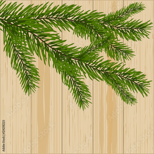 Two green spruce branches on the background of wood illustration