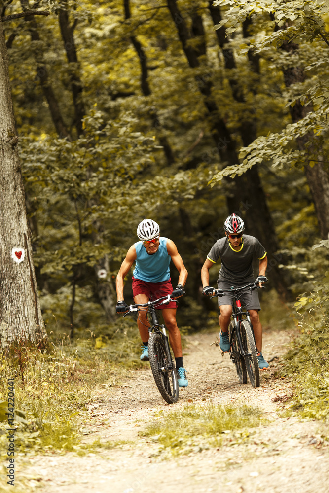 Fototapeta premium Two mountain bikers riding bike in the forest on dirt road.