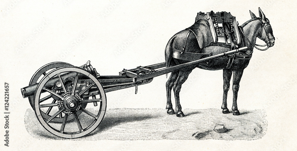 Naklejka premium Spanish mountain gun transported by mule (from Meyers Lexikon, 1895, 7/440/441)